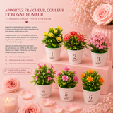 Mini plantes artificielles en pot - Une touche de couleur sans entretien - 7 x 16 cm