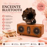 Enceinte Mini double gramophone rétro - Bluetooth - 5,4 watts x 2