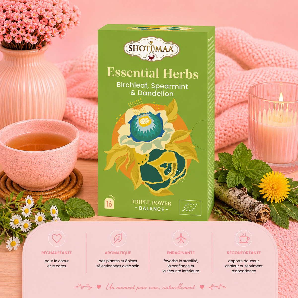 Tisane "ÉQUILIBRE BASIQUE" - Purifier l'organisme et retrouver harmonie et bien-être au quotidien