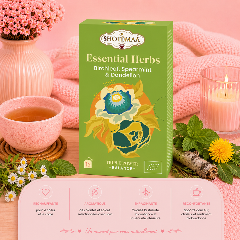 Tisane "ÉQUILIBRE BASIQUE" - Purifier l'organisme et retrouver harmonie et bien-être au quotidien