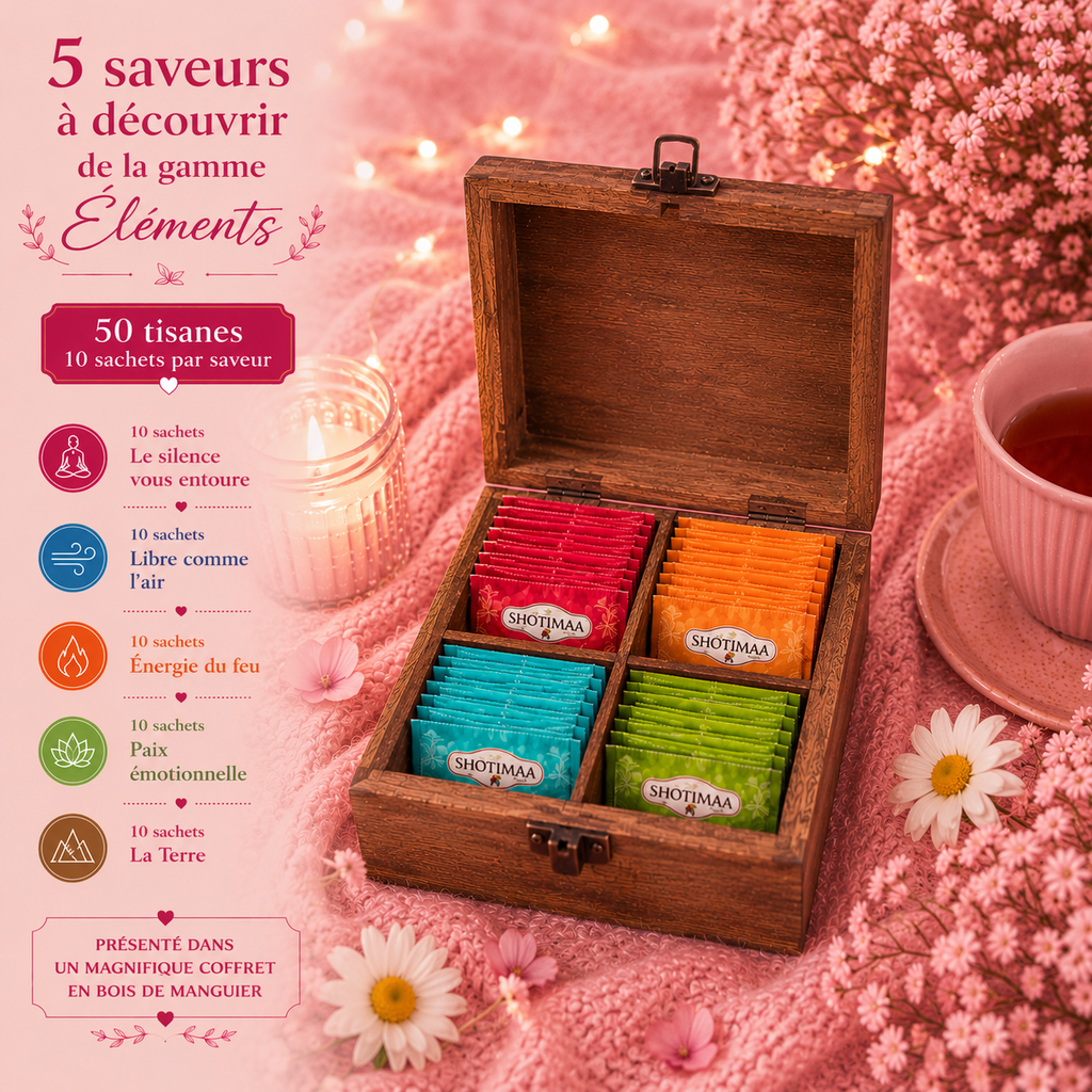 Coffret Découverte 4 compartiments - Voyage au cœur des Tisanes - 3 variantes